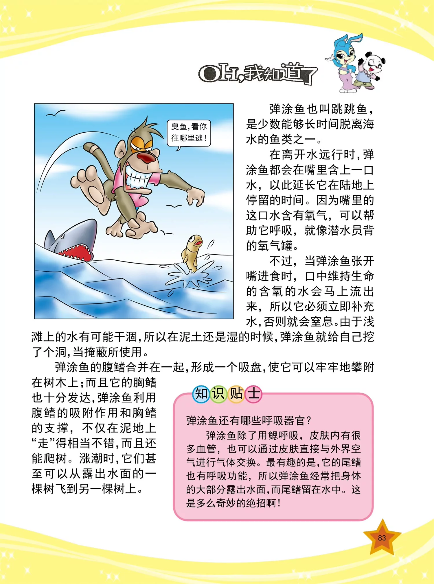 《虹猫蓝兔十万个为什么之动物卷》第10话 为什么鸟能在天空飞翔 第4页