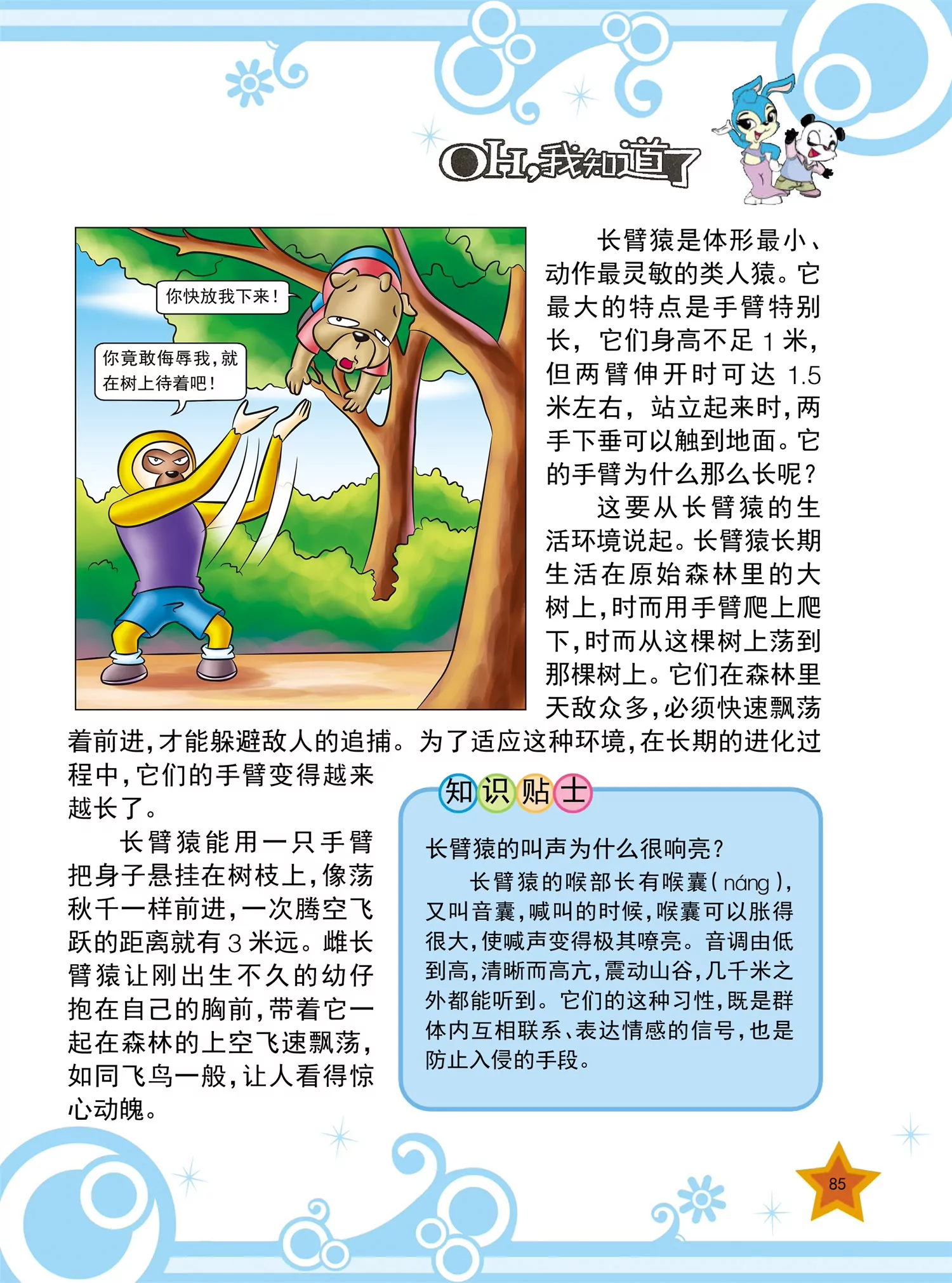 《虹猫蓝兔十万个为什么之动物卷》第10话 为什么鸟能在天空飞翔 第6页