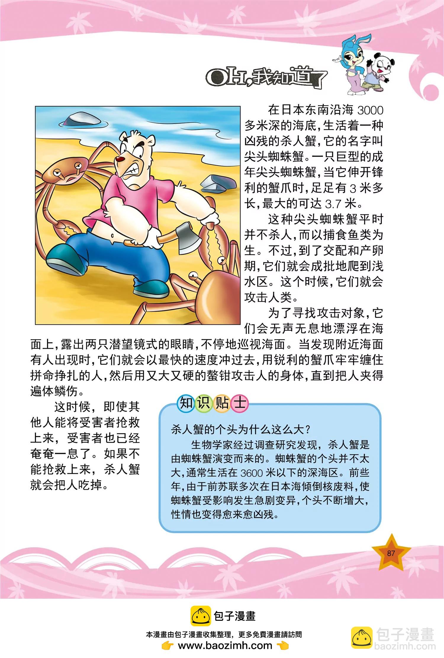 《虹猫蓝兔十万个为什么之动物卷》第10话 为什么鸟能在天空飞翔 第8页