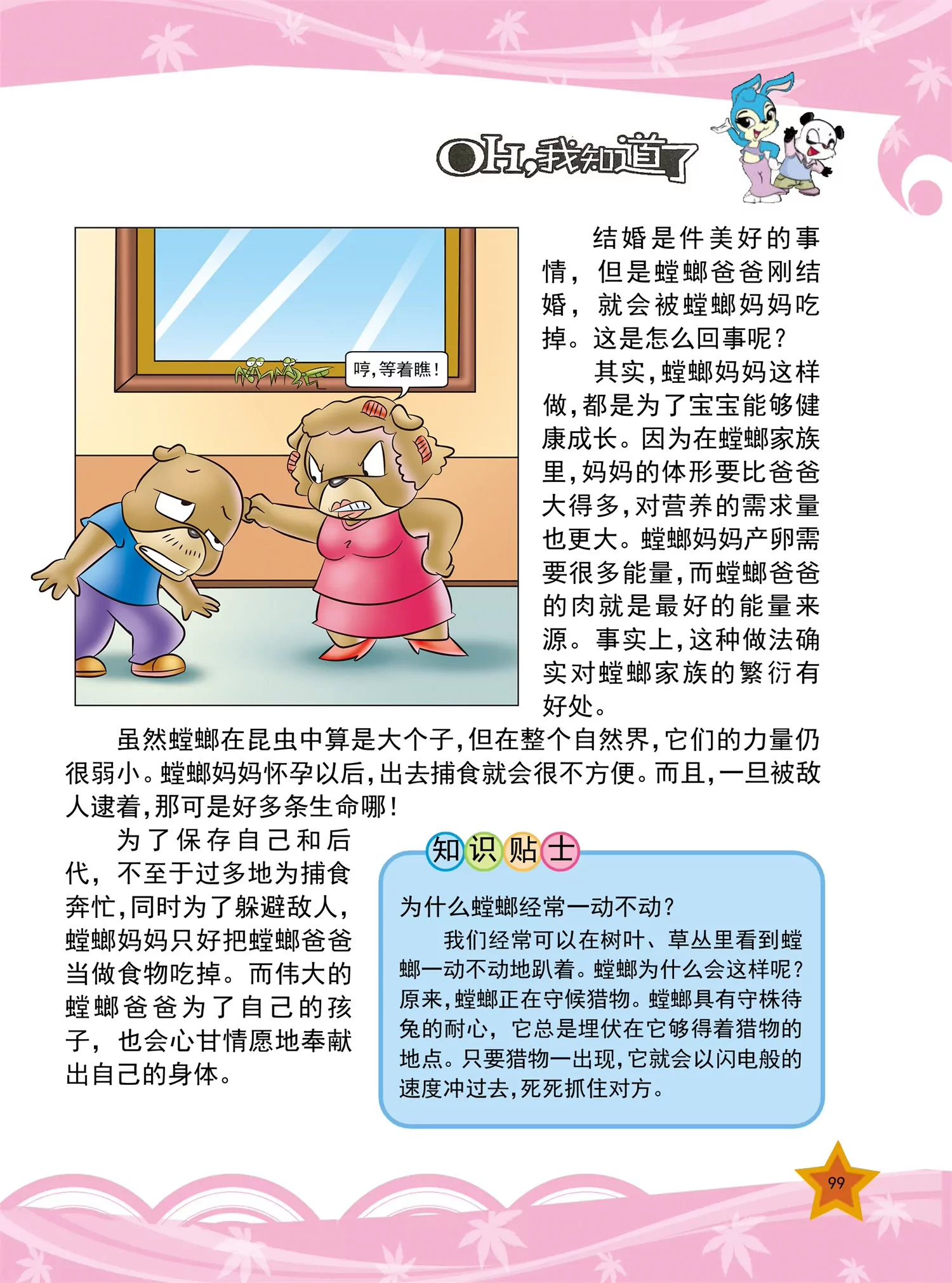 《虹猫蓝兔十万个为什么之动物卷》第12话 为什么长颈鹿脖子很长 第4页