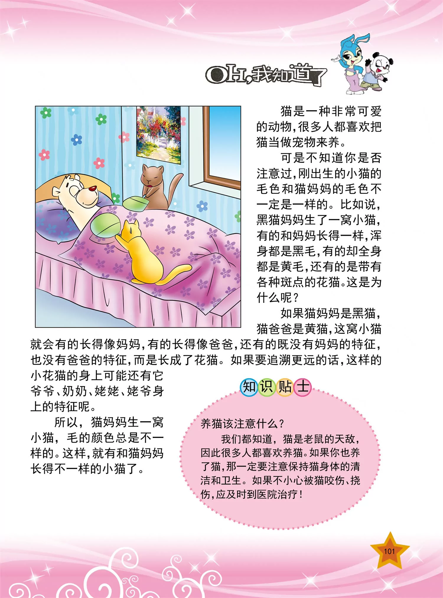 《虹猫蓝兔十万个为什么之动物卷》第12话 为什么长颈鹿脖子很长 第6页