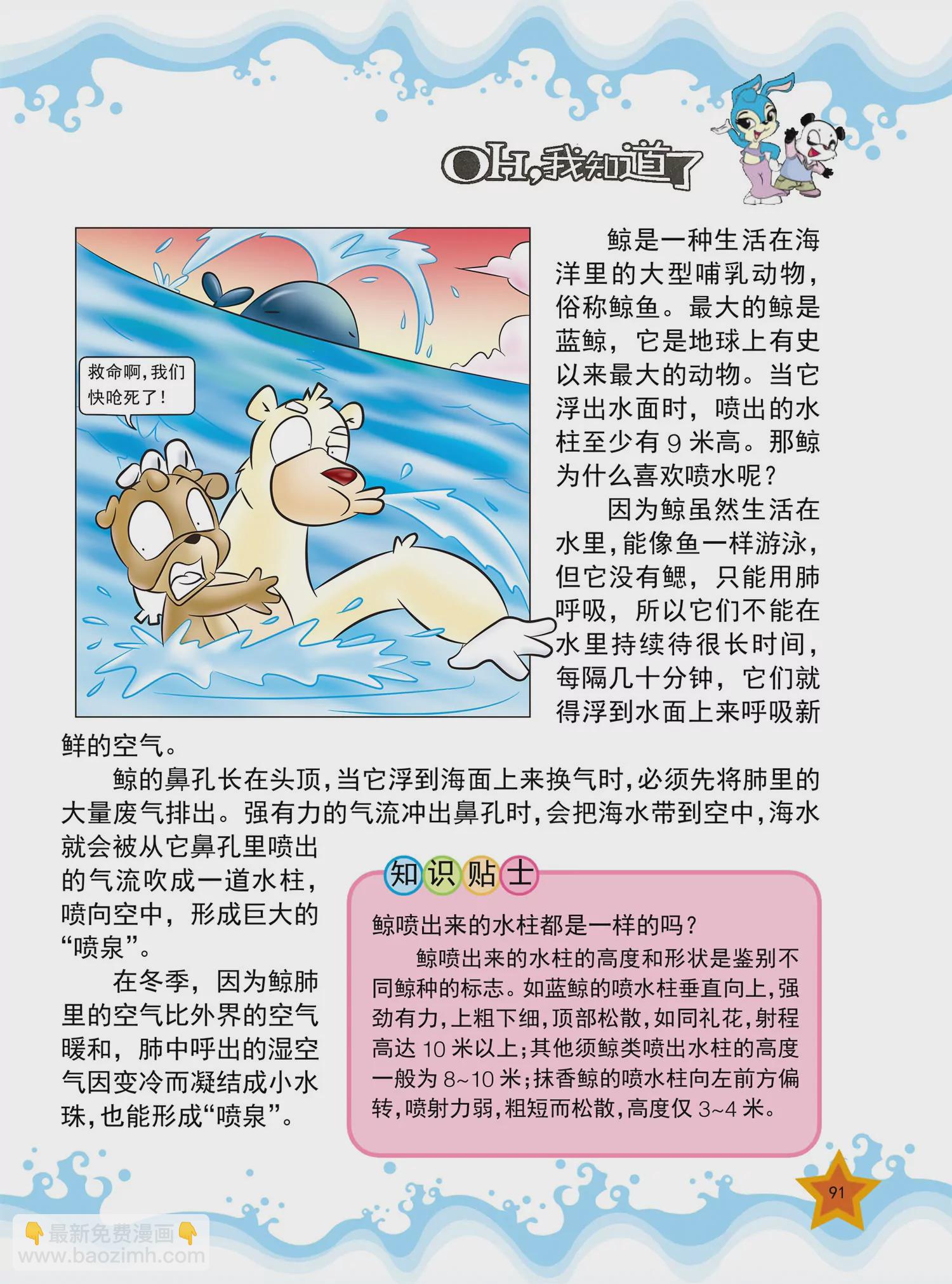 《虹猫蓝兔十万个为什么之动物卷》第11话 为什么鱼喜欢住珊瑚礁 第4页