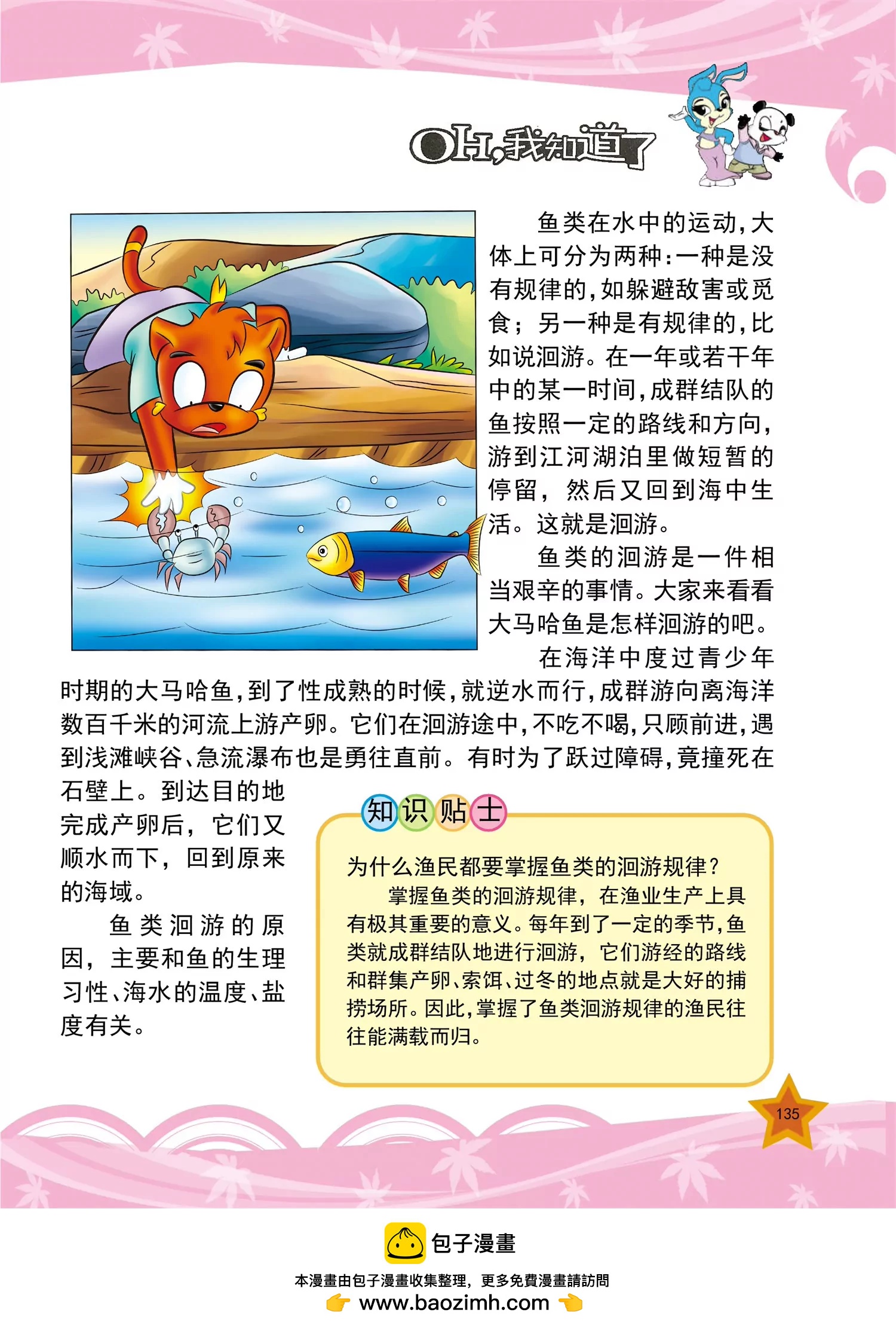 《虹猫蓝兔十万个为什么之动物卷》第16话 世界上最大的鱼是什么 第8页