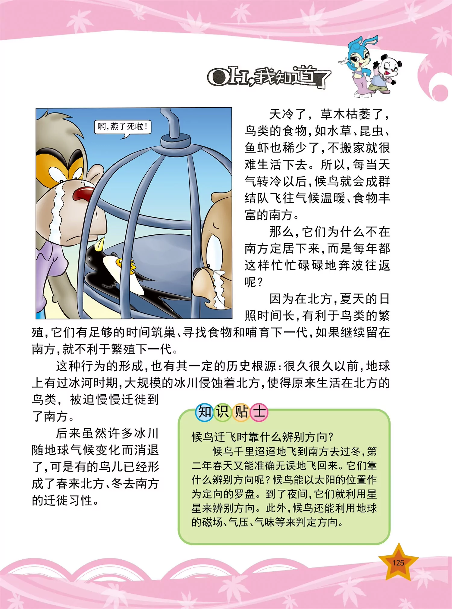 《虹猫蓝兔十万个为什么之动物卷》第15话 有些动物夏眠是为什么 第6页