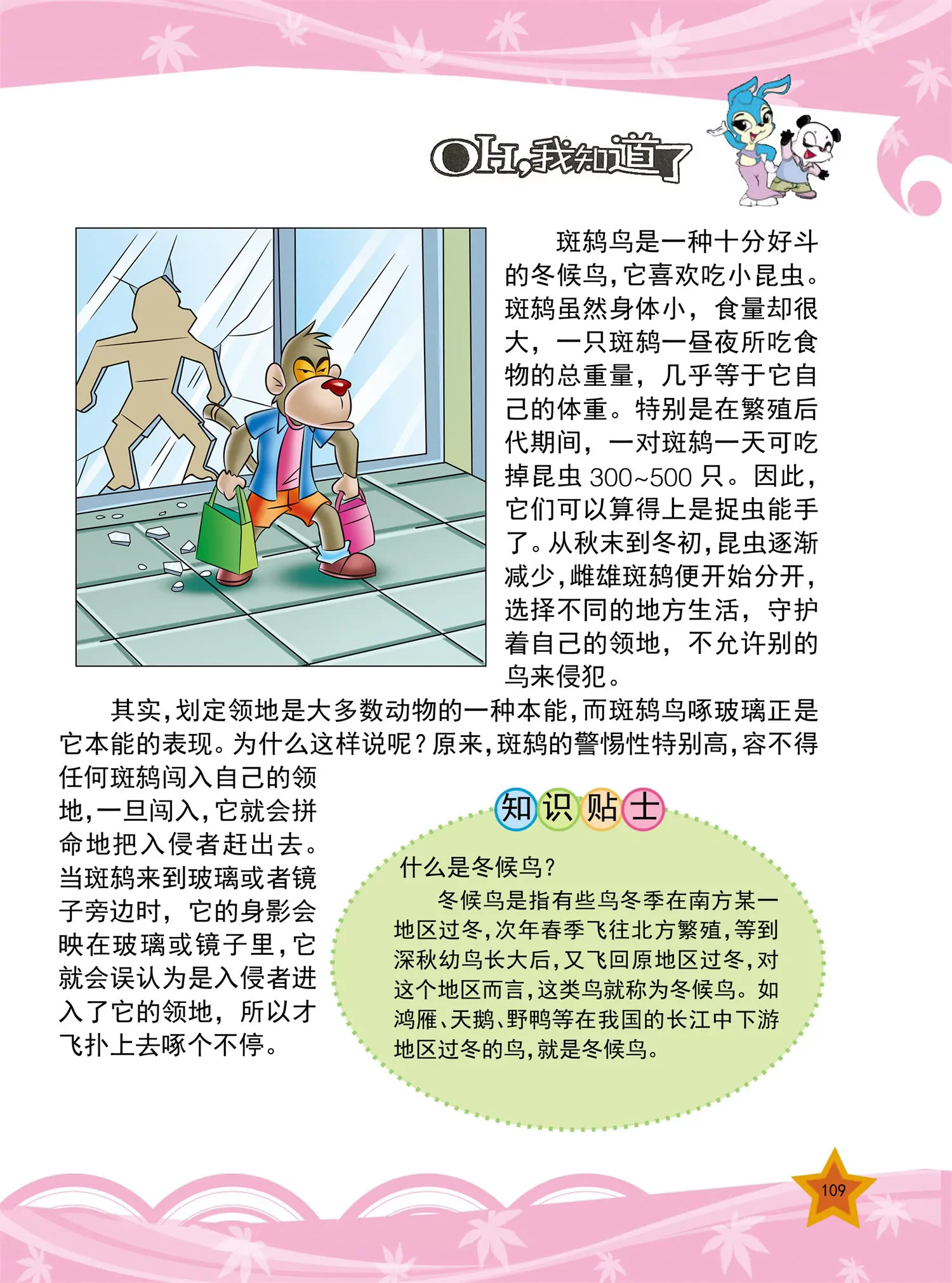 《虹猫蓝兔十万个为什么之动物卷》第13话 为什么鸡喝水时头望天 第6页