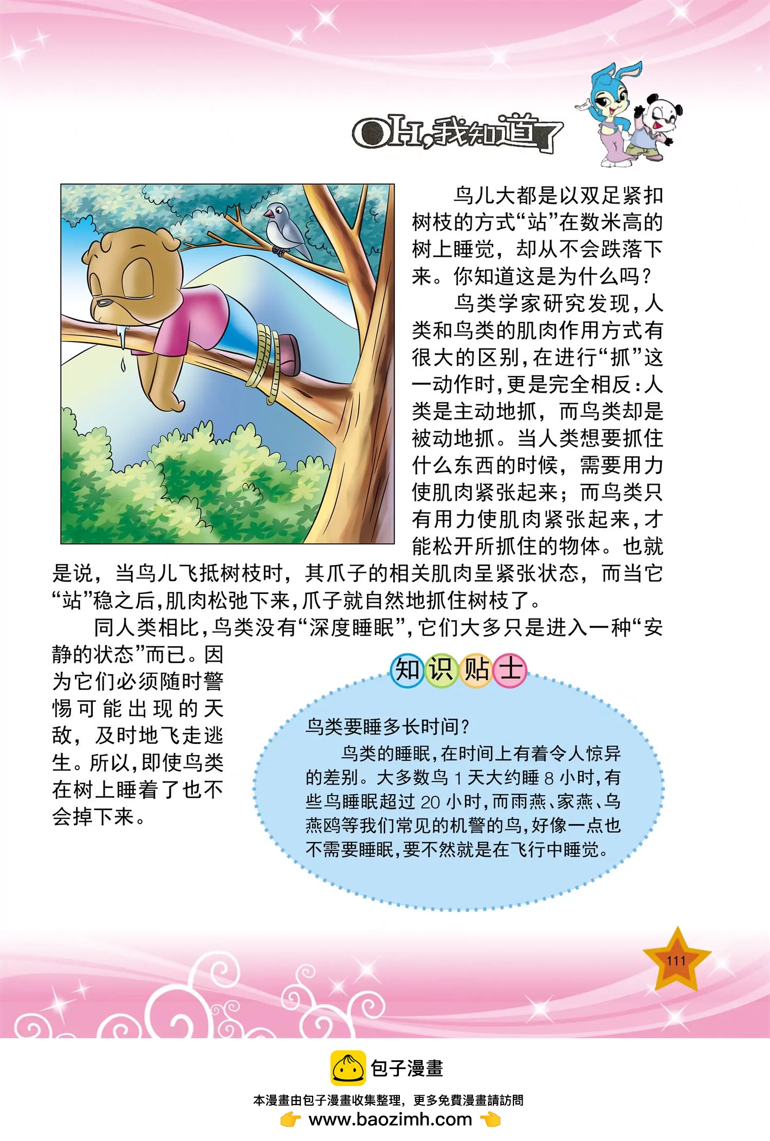 《虹猫蓝兔十万个为什么之动物卷》第13话 为什么鸡喝水时头望天 第8页