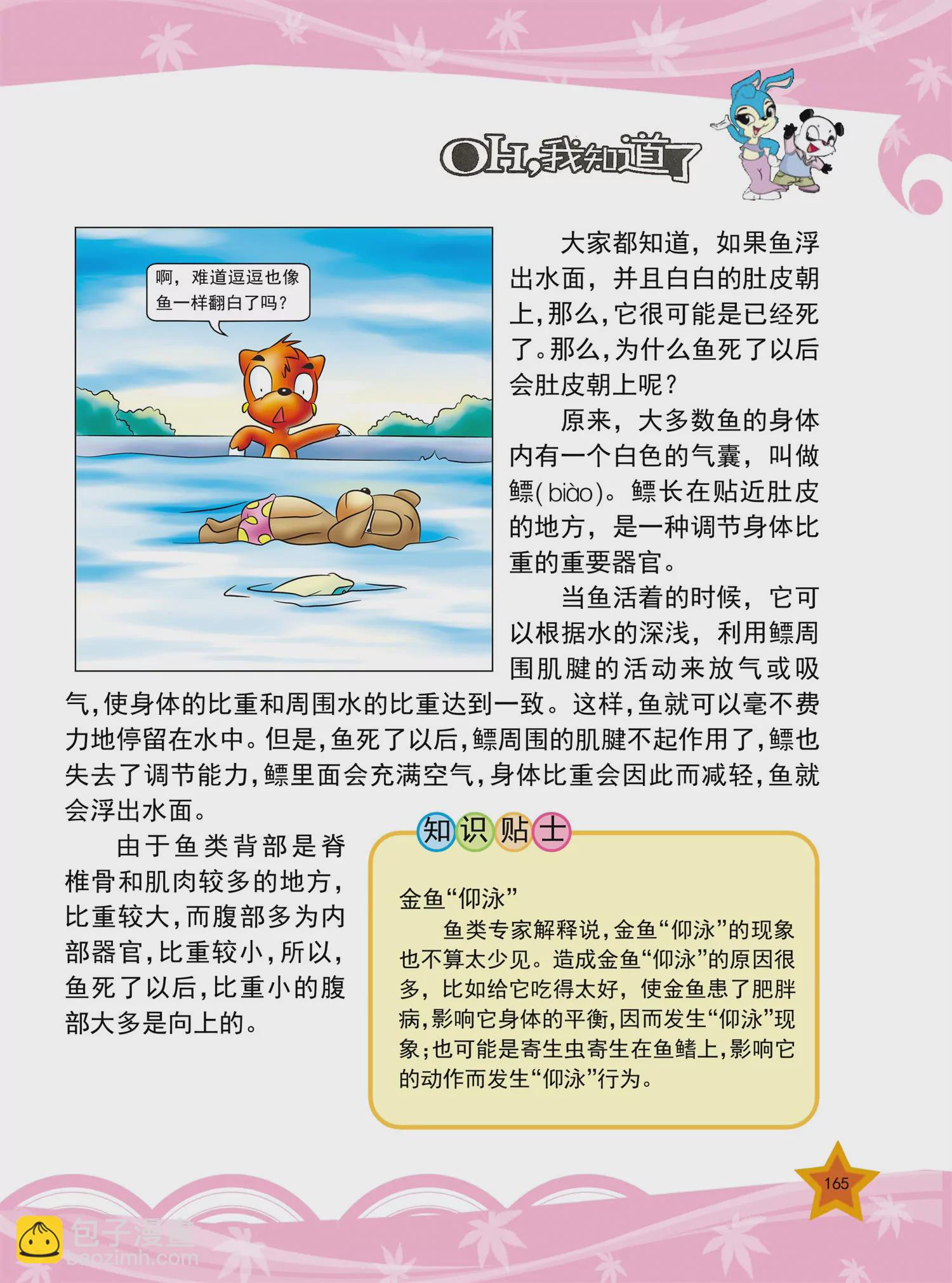 《虹猫蓝兔十万个为什么之动物卷》第20话 为什么鳄鱼常流泪 第6页