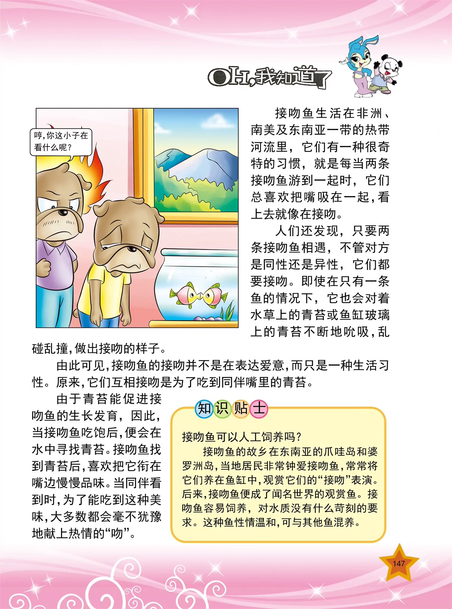 《虹猫蓝兔十万个为什么之动物卷》第18话 为什么马的脚要钉蹄铁 第4页