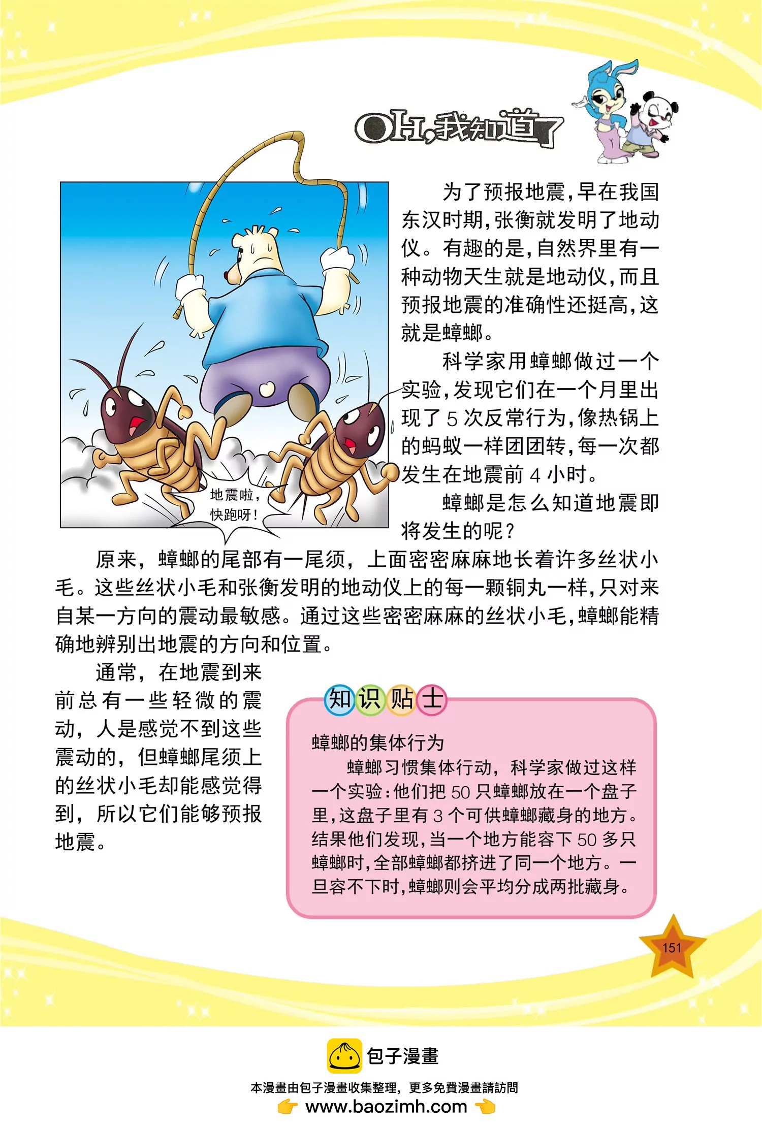《虹猫蓝兔十万个为什么之动物卷》第18话 为什么马的脚要钉蹄铁 第8页