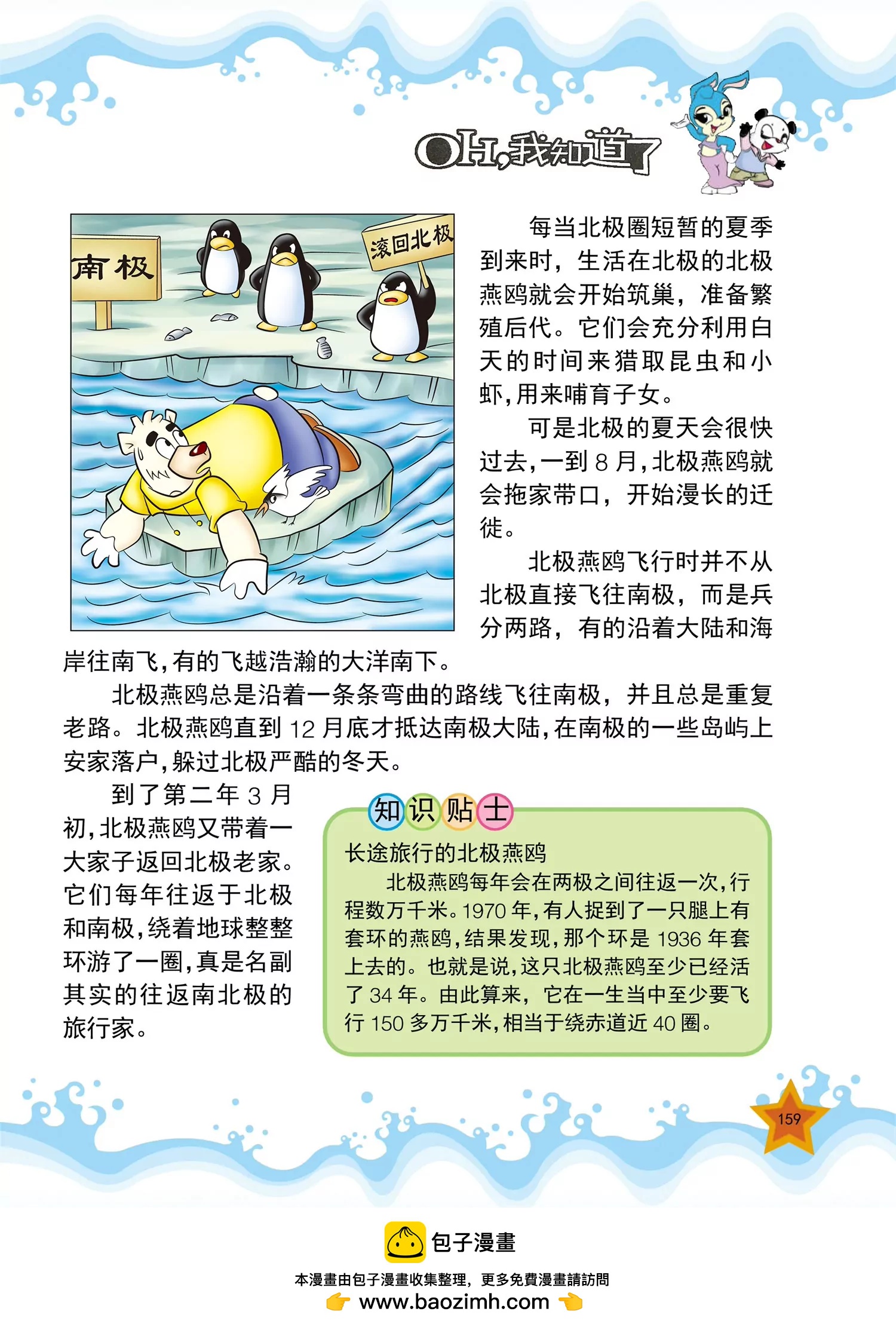 《虹猫蓝兔十万个为什么之动物卷》第19话 为什么远古的动物大 第8页