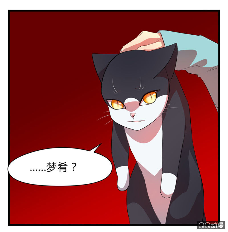《梦境少女》梦&占卜 第2页