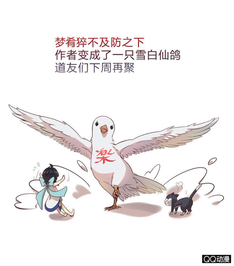 《梦境少女》停更通知 第1页