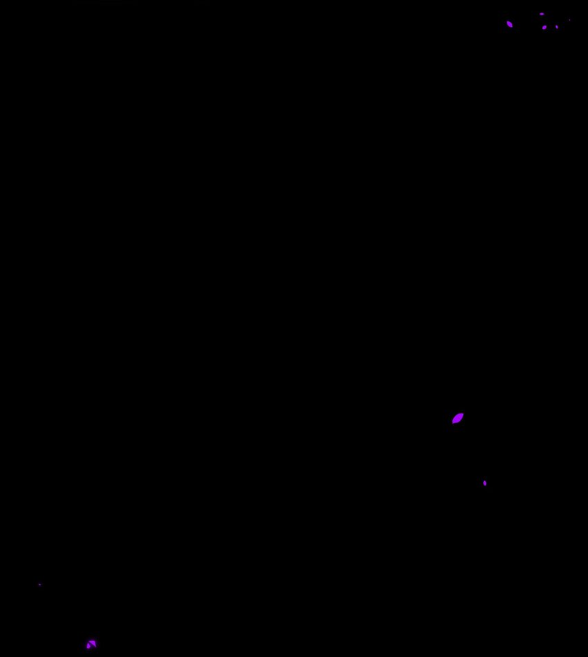 《魔法学园的恶役千金》007 测试 第24页
