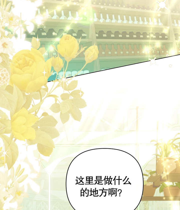 《干脆我成为王好了》第19话 第5页
