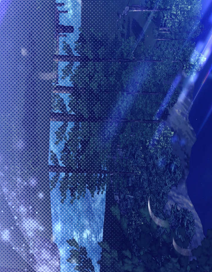 《干脆我成为王好了》第30话 第33页