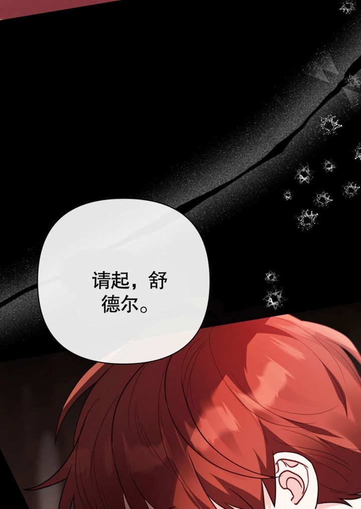 《干脆我成为王好了》第41话 第11页