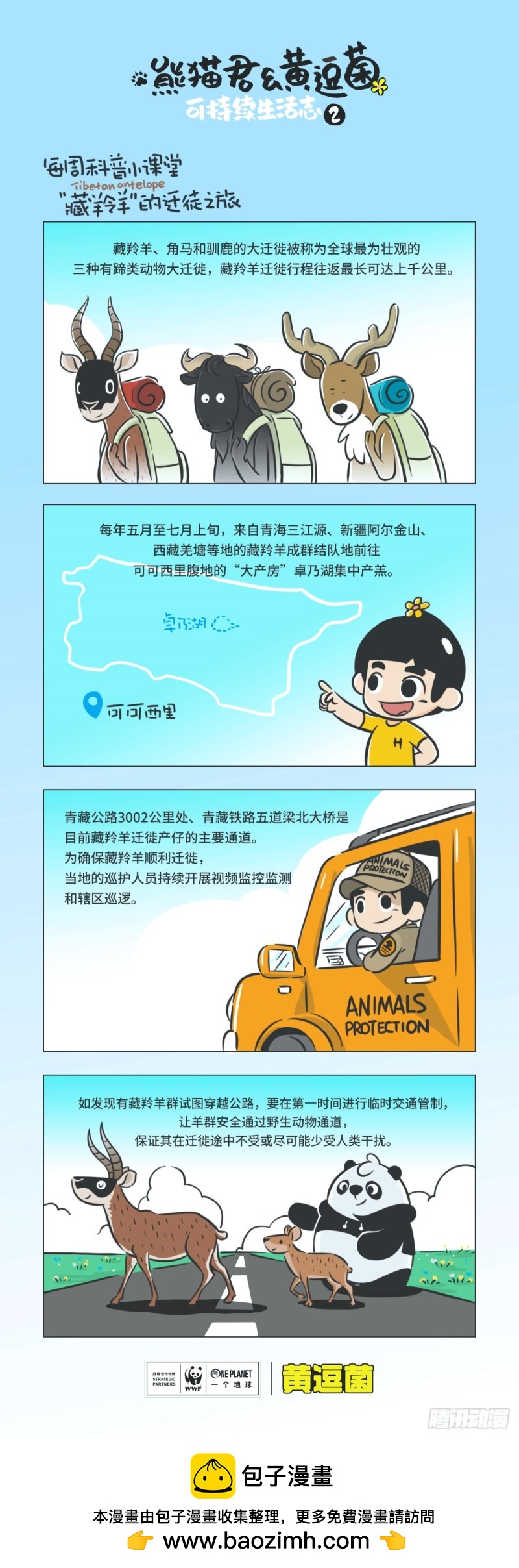 《熊猫君和黄逗菌可持续生活志II》科普番外——藏羚羊的迁徙之旅 第1页