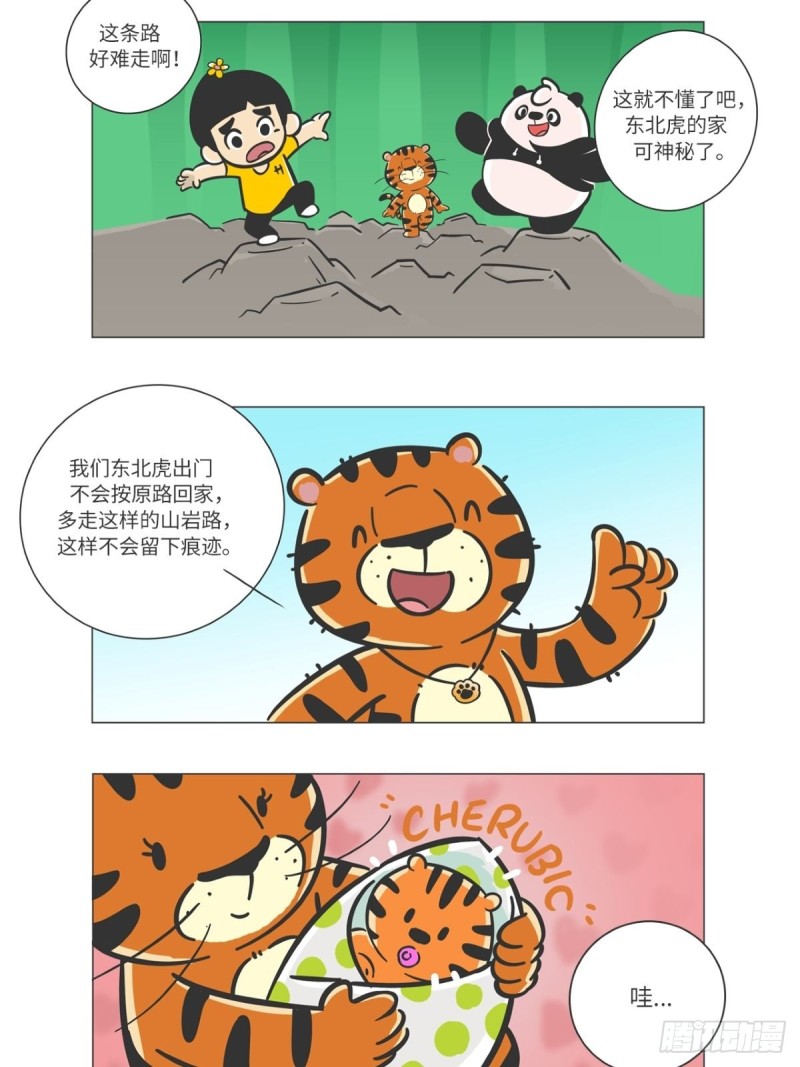 《熊猫君和黄逗菌可持续生活志II》第6话 森林之王“虎威威” 第11页