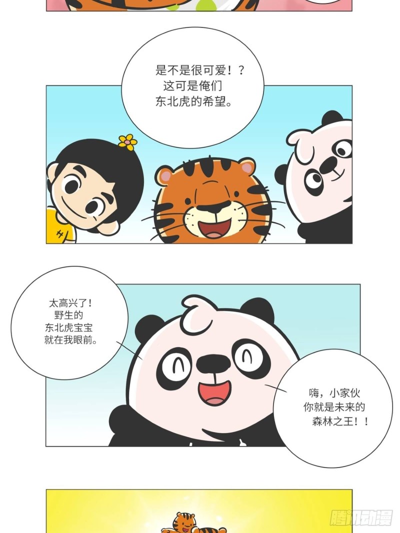 《熊猫君和黄逗菌可持续生活志II》第6话 森林之王“虎威威” 第12页