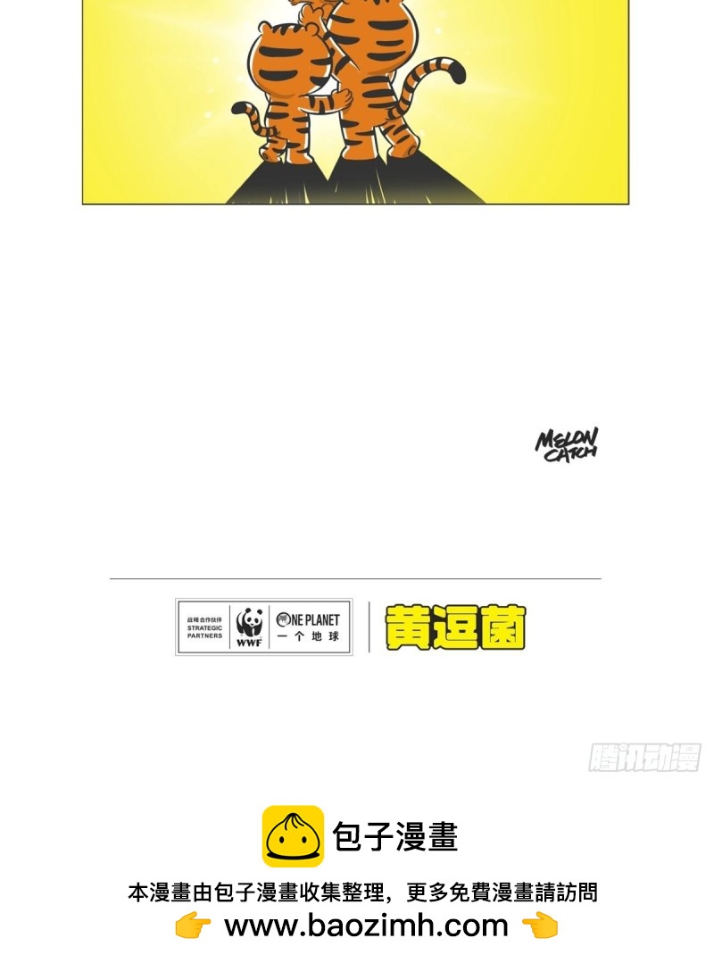 《熊猫君和黄逗菌可持续生活志II》第6话 森林之王“虎威威” 第13页