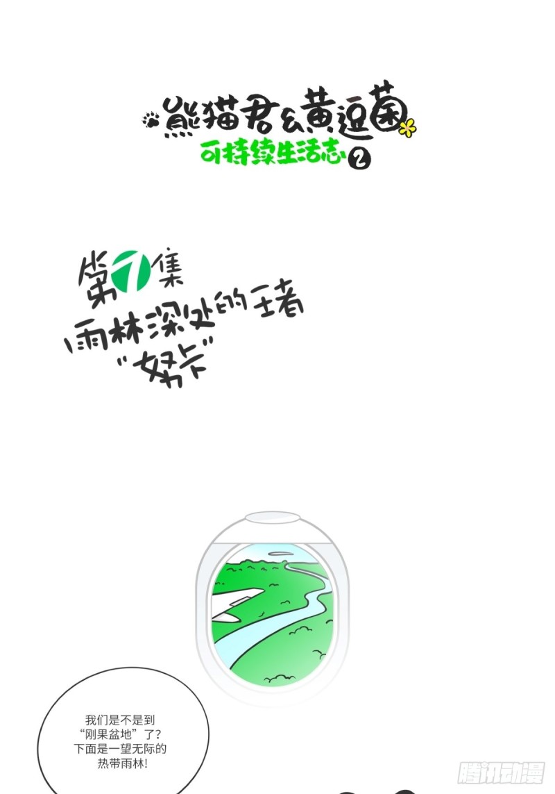 《熊猫君和黄逗菌可持续生活志II》第7话 雨林深处的王者“努卡” 第1页