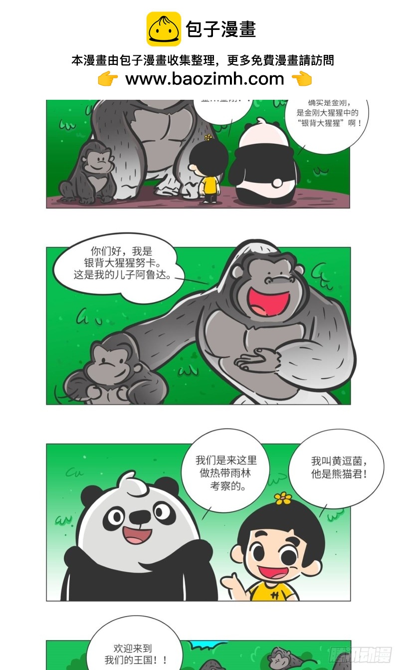 《熊猫君和黄逗菌可持续生活志II》第7话 雨林深处的王者“努卡” 第5页
