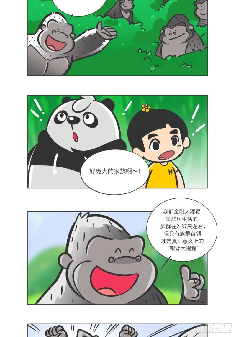 《熊猫君和黄逗菌可持续生活志II》第7话 雨林深处的王者“努卡” 第6页