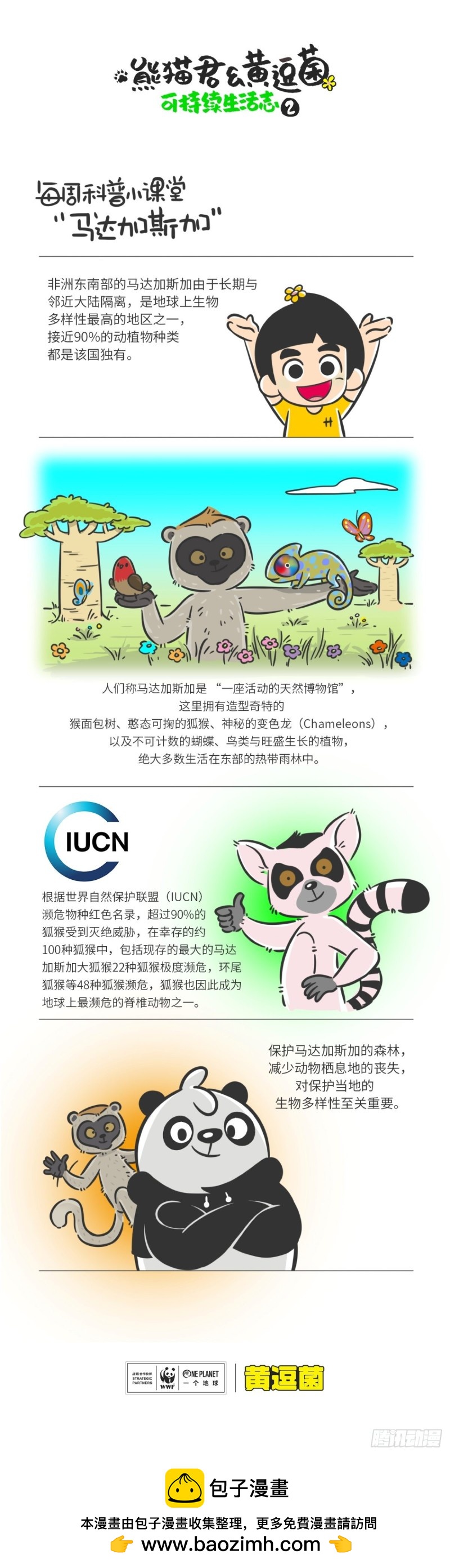 《熊猫君和黄逗菌可持续生活志II》科普番外——马达加斯加 第1页
