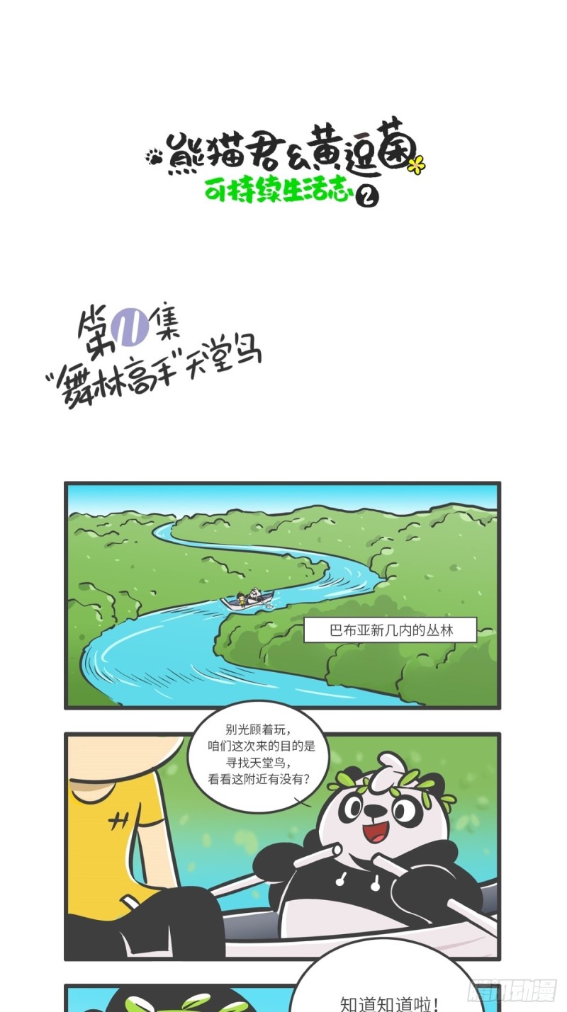 《熊猫君和黄逗菌可持续生活志II》第11话 “舞林高手”天堂鸟 第1页