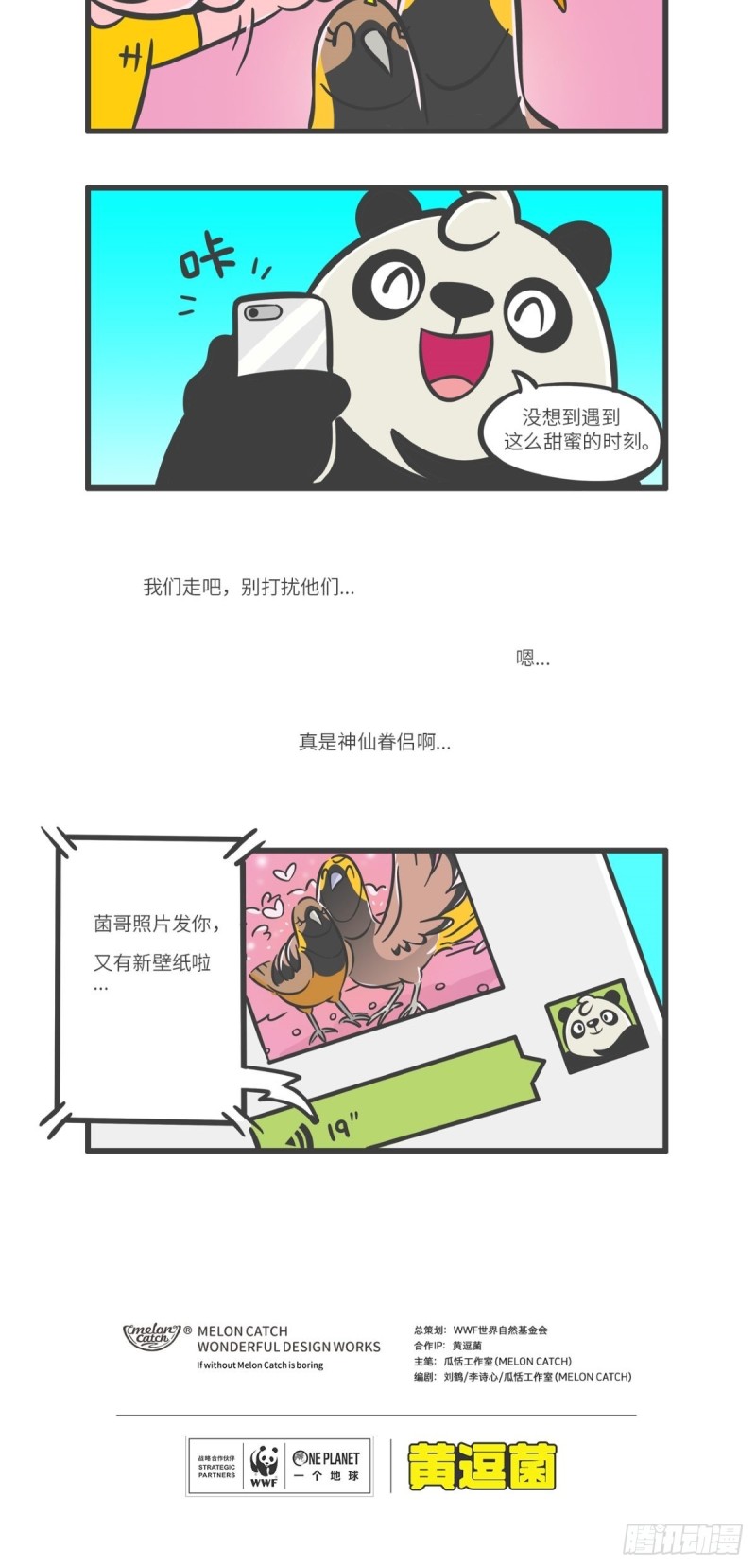 《熊猫君和黄逗菌可持续生活志II》第11话 “舞林高手”天堂鸟 第8页