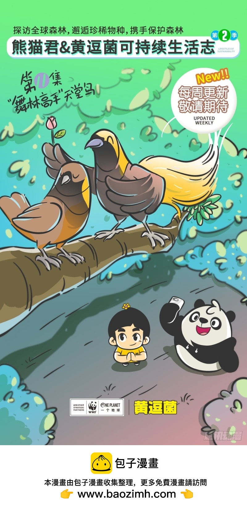 《熊猫君和黄逗菌可持续生活志II》第11话 “舞林高手”天堂鸟 第9页