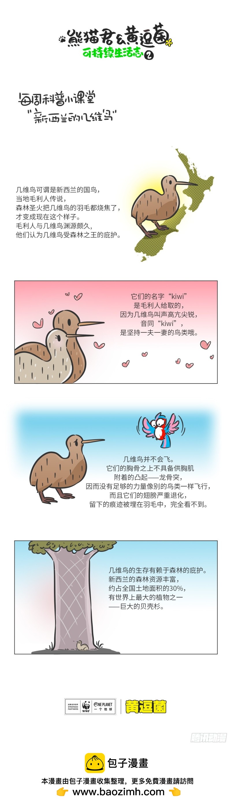 《熊猫君和黄逗菌可持续生活志II》科普番外——新西兰的几维鸟 第1页