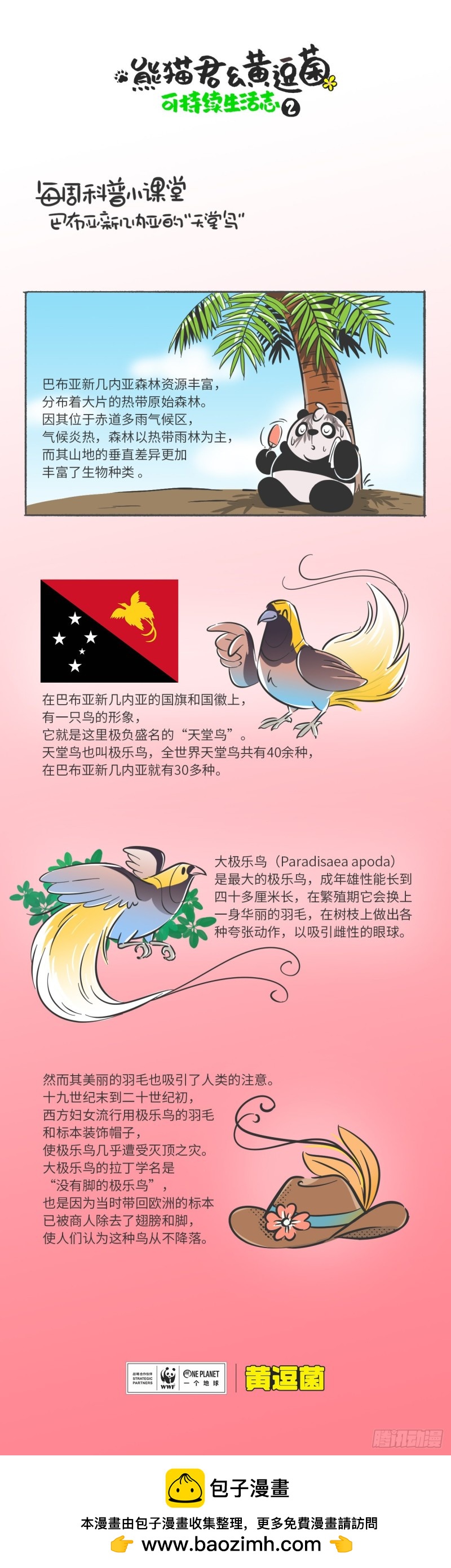 《熊猫君和黄逗菌可持续生活志II》科普番外——“天堂鸟” 第1页