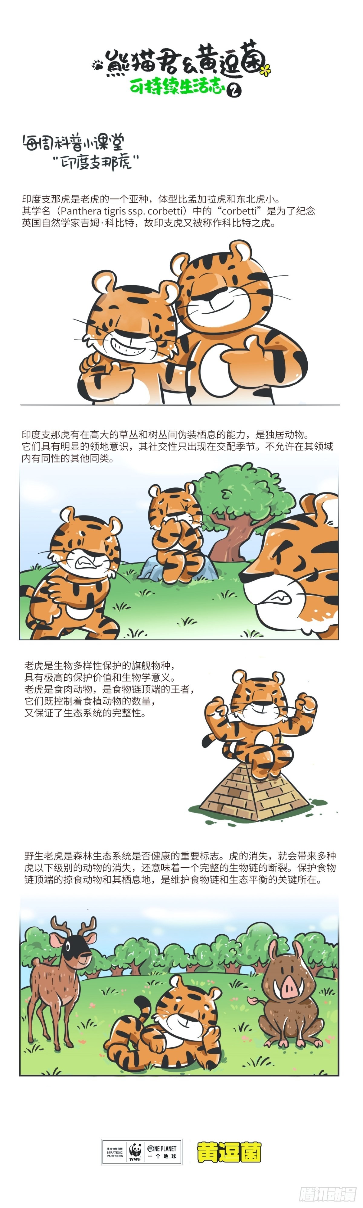 《熊猫君和黄逗菌可持续生活志II》科普番外——印度支那虎 第1页