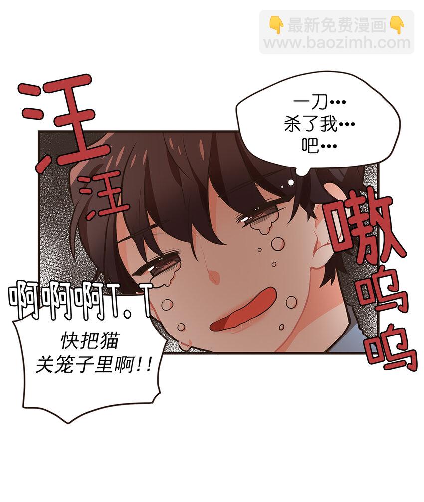 《汪汪喵喵》04 放开我的主人 第12页
