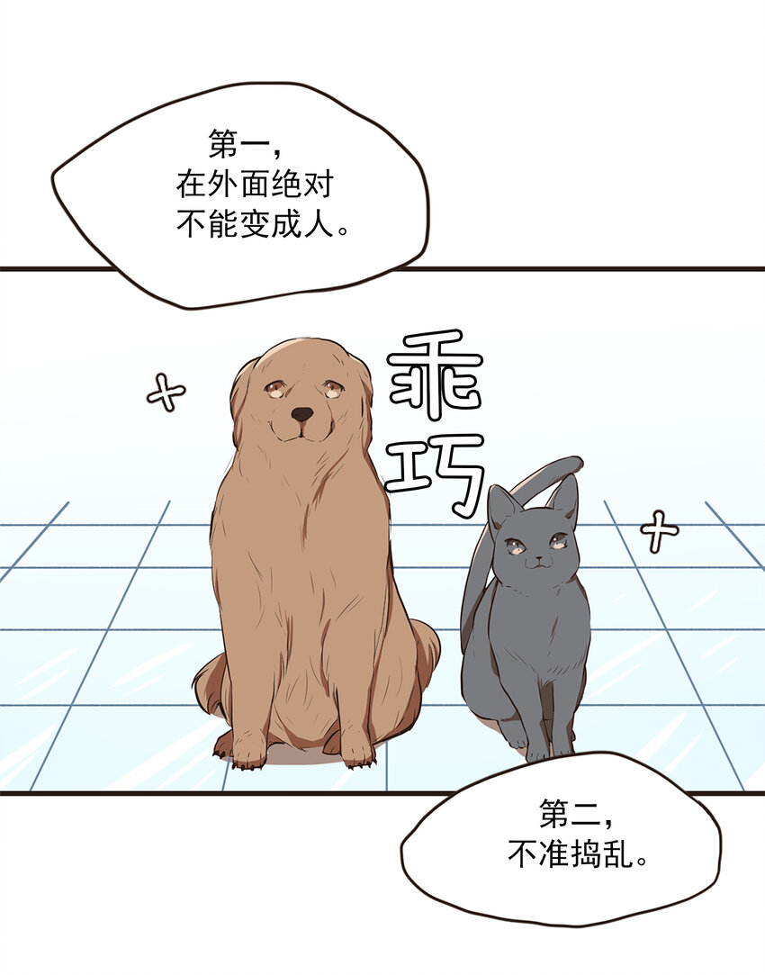 《汪汪喵喵》04 放开我的主人 第8页