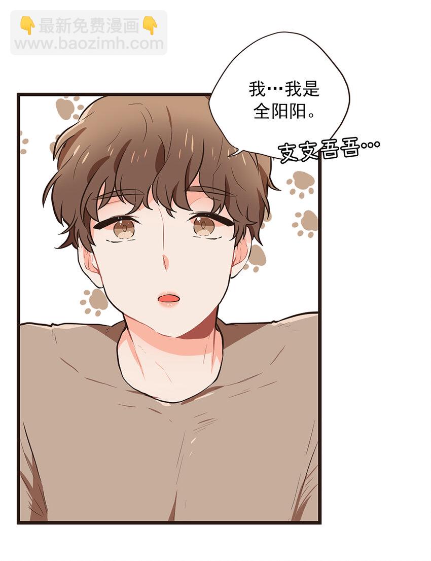 《汪汪喵喵》03 萌宠变美男 第11页