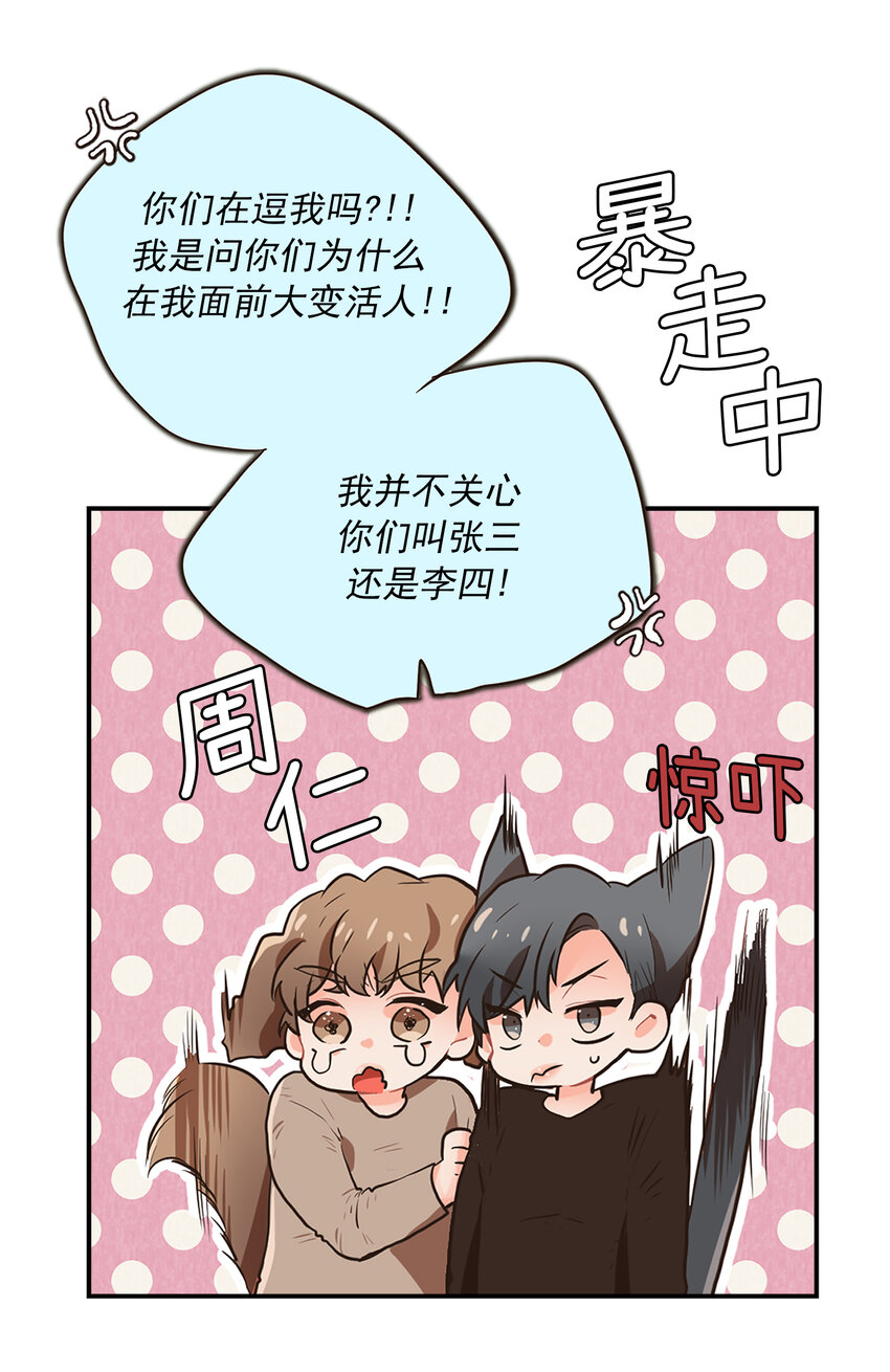 《汪汪喵喵》03 萌宠变美男 第14页