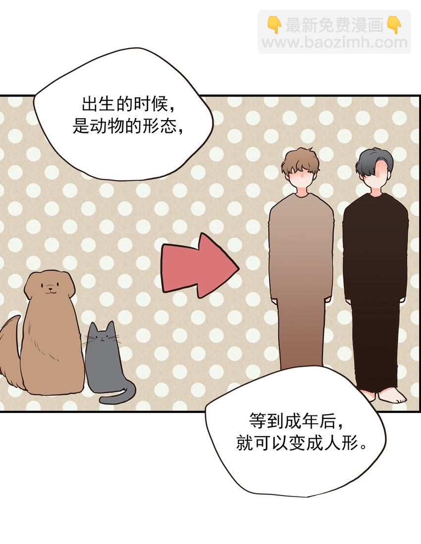 《汪汪喵喵》03 萌宠变美男 第16页