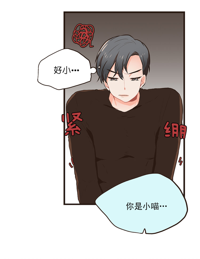 《汪汪喵喵》03 萌宠变美男 第9页