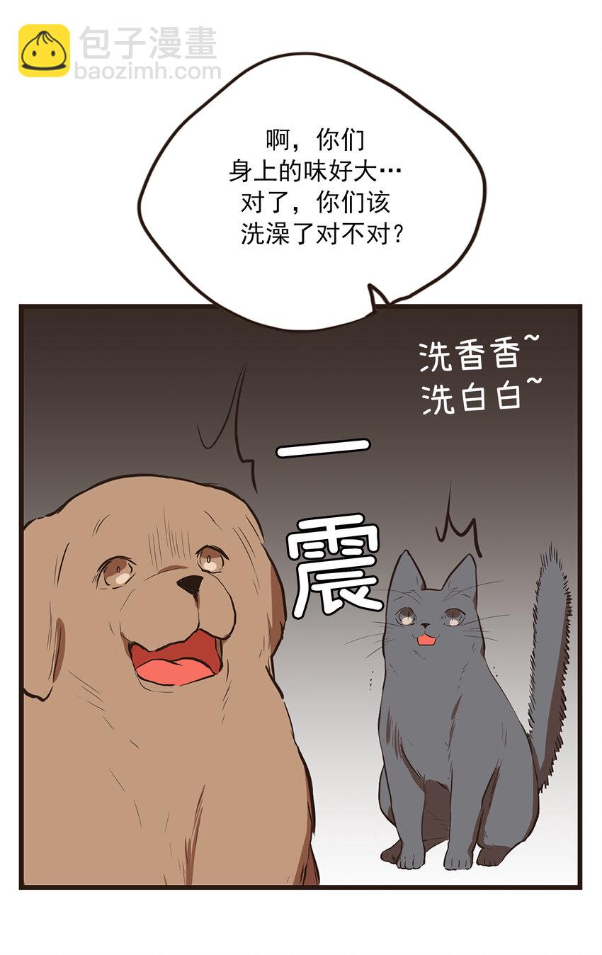 《汪汪喵喵》02 浴室惊现裸男 第17页