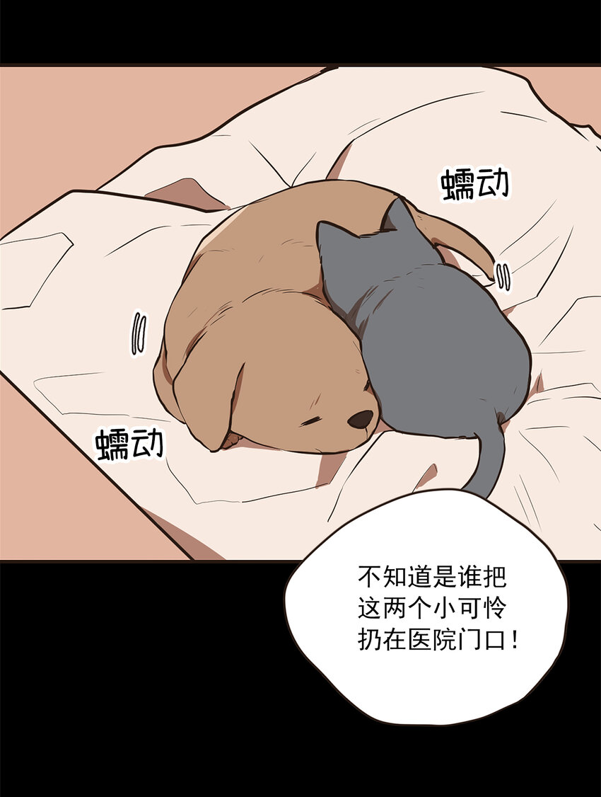 《汪汪喵喵》02 浴室惊现裸男 第3页
