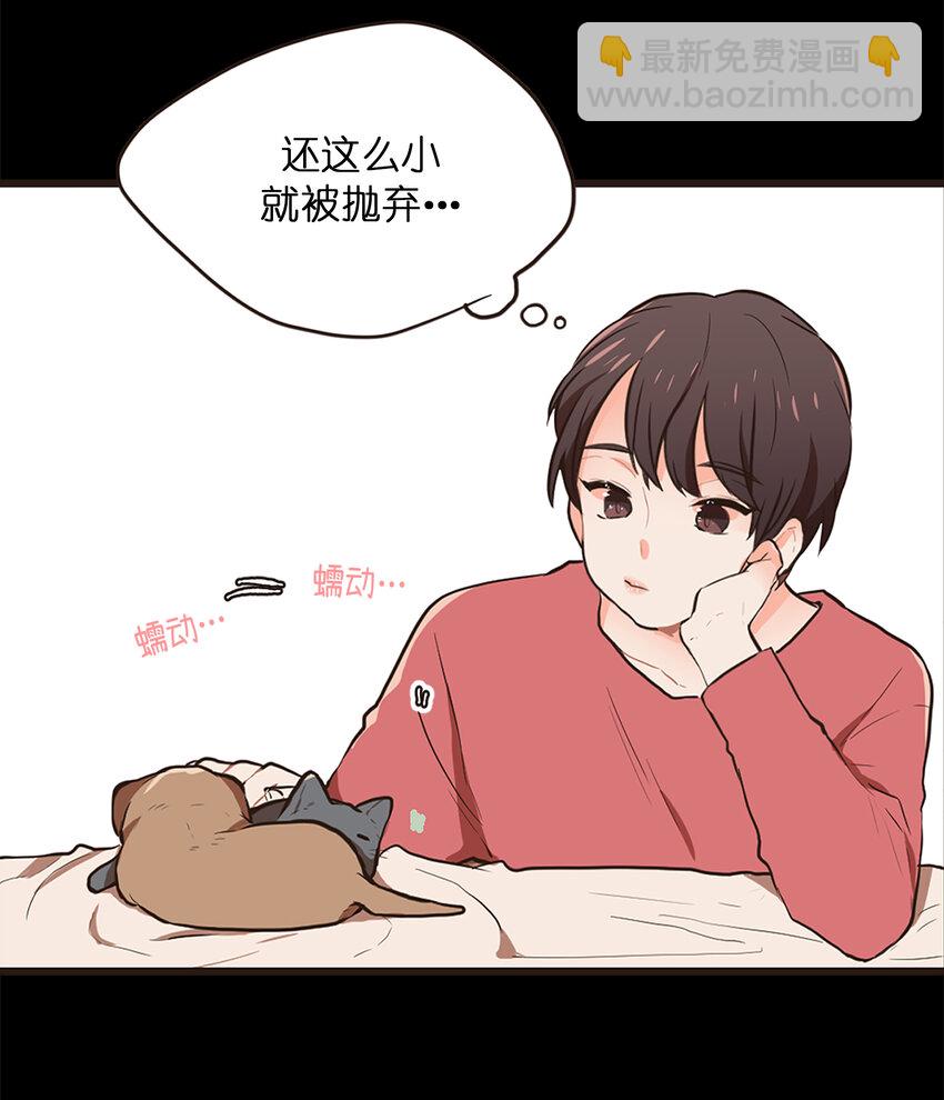 《汪汪喵喵》02 浴室惊现裸男 第7页