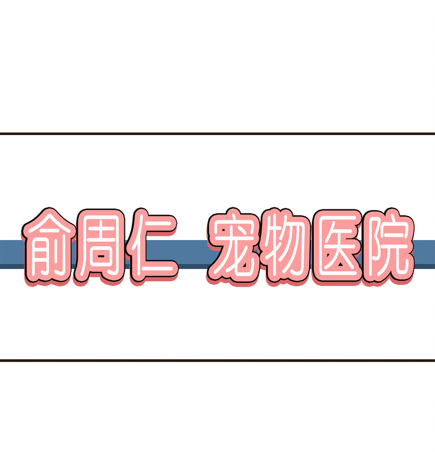 《汪汪喵喵》01 “美女”医生 第12页