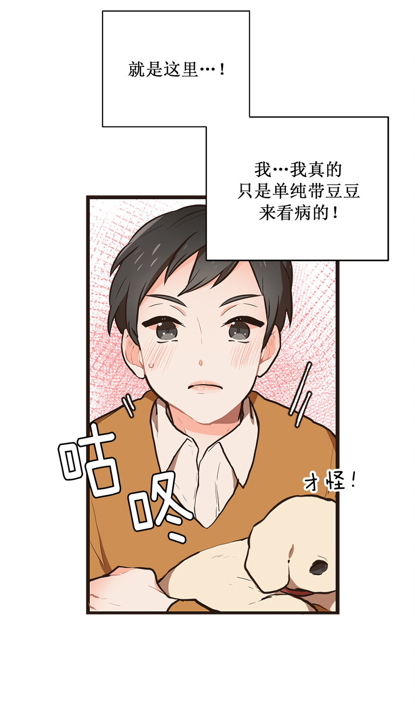 《汪汪喵喵》01 “美女”医生 第13页