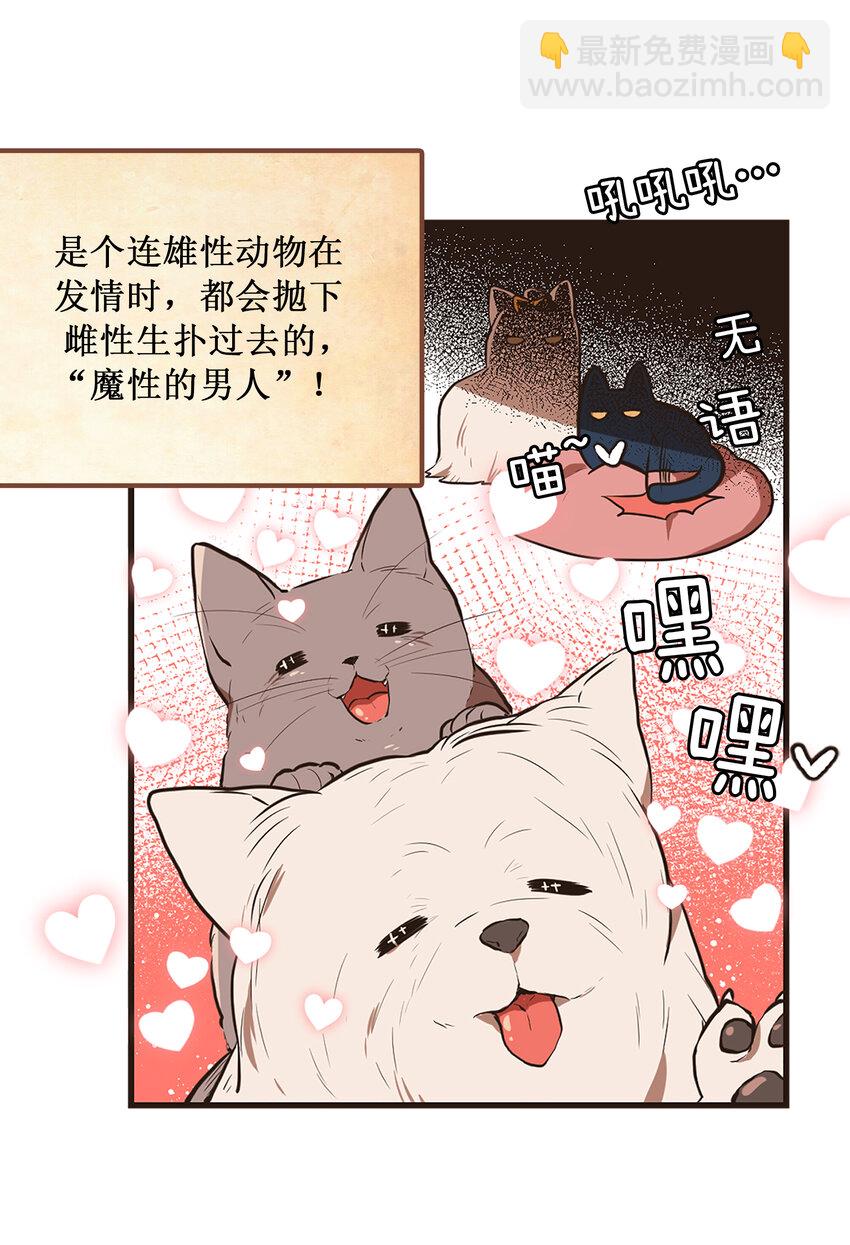 《汪汪喵喵》01 “美女”医生 第26页