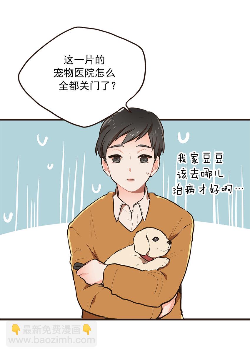 《汪汪喵喵》01 “美女”医生 第4页