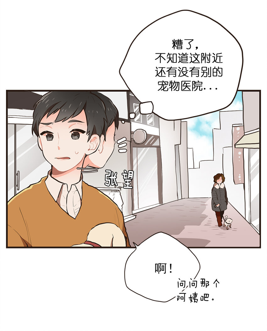 《汪汪喵喵》01 “美女”医生 第5页