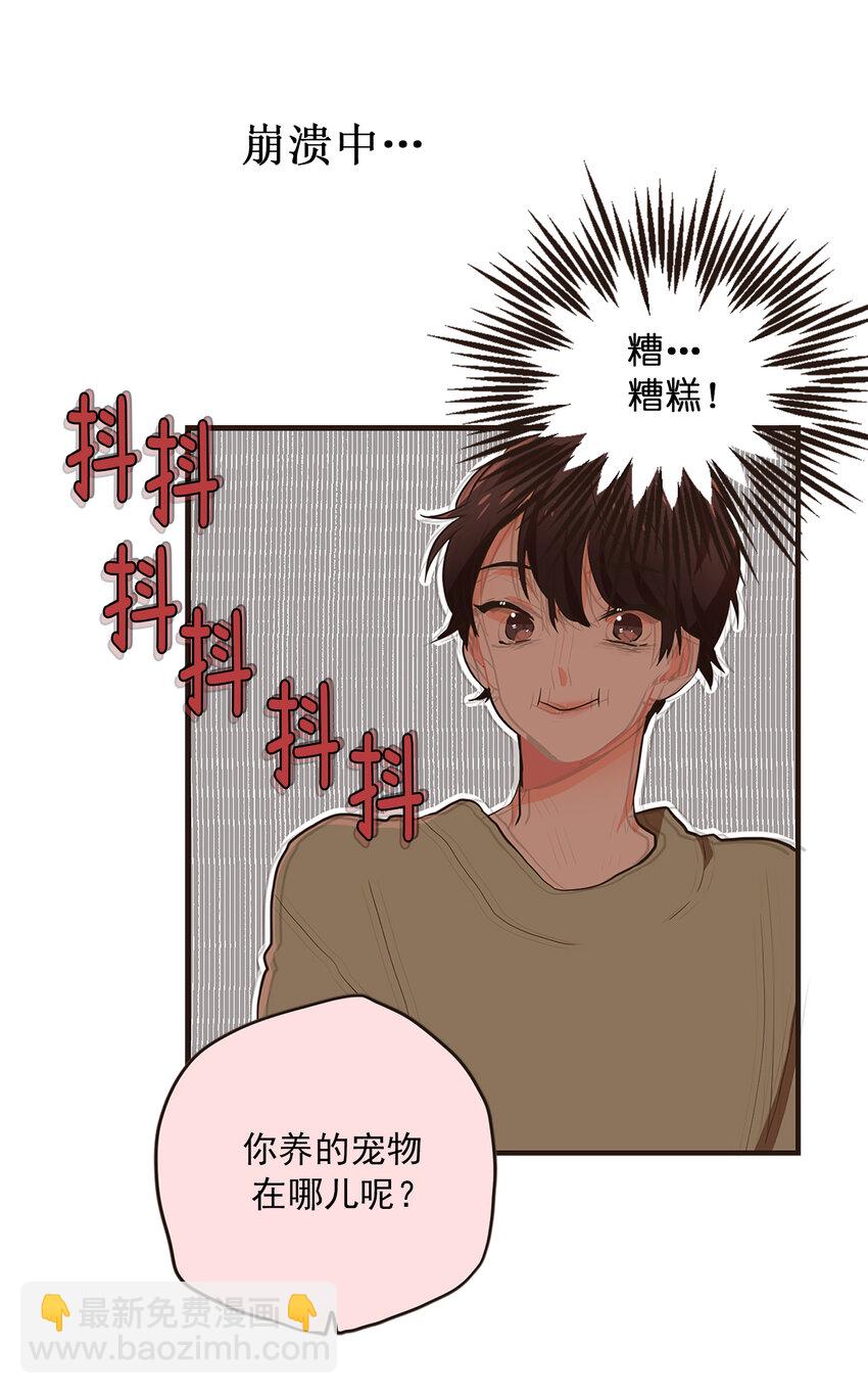 《汪汪喵喵》06 约法三章 第11页