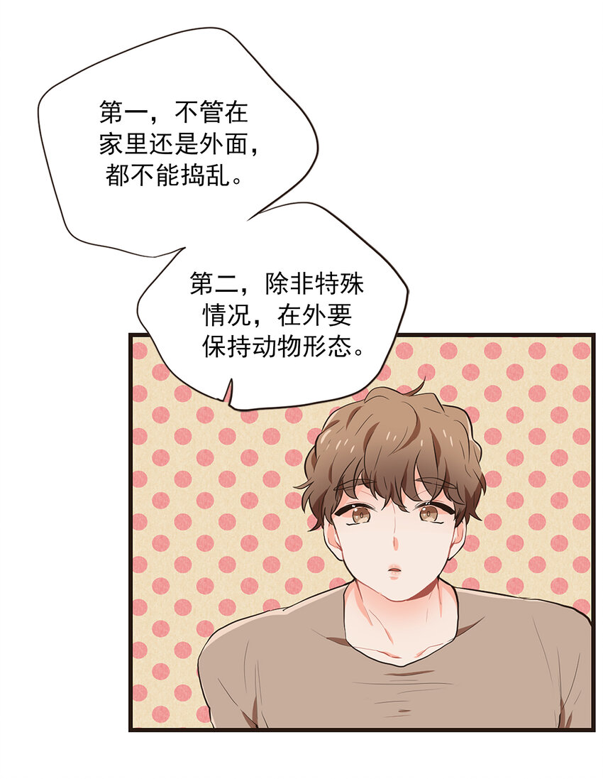 《汪汪喵喵》07 满…满足？! 第3页